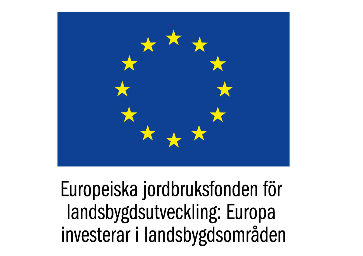 EU-flagga+Europeiska+jordbruksfonden+färg+svensk